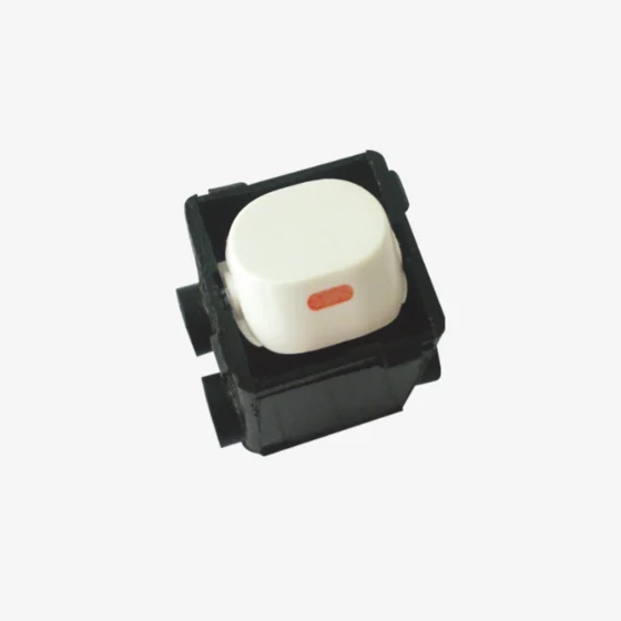 Double pole Mechanism 10Amp - Image 1