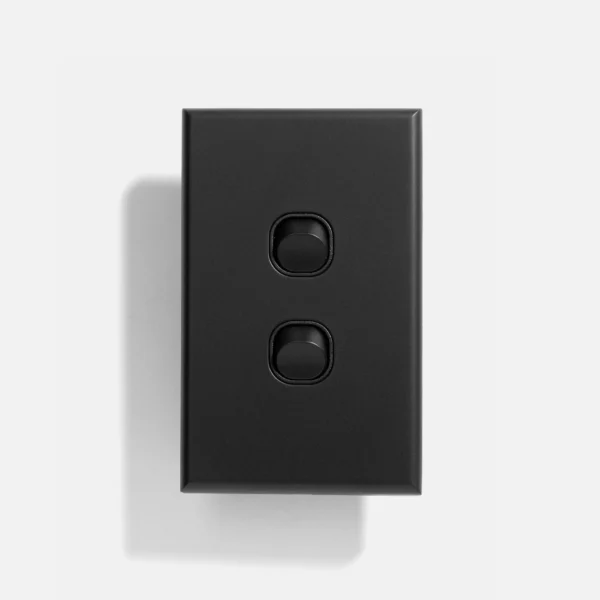 Matte Black standard two gang switch